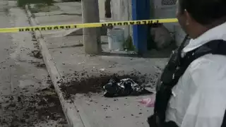 Hallan marihuana regada en la calle en Campeche