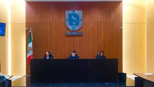 El Tribunal Unitario 4 de Enjuiciamiento impuso la sentencia a la mujer