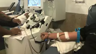 Falta de donadores de sangre, principal problemática que enfrentan pacientes oncológicos en Quintana Roo 