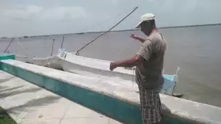Pescadores de Sabancuy se preparan con altas expectativas  para la temporada de pulpo