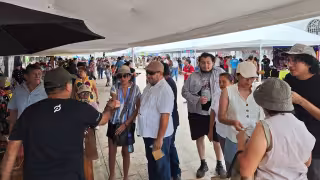 Habrá gran variedad de actividades en Yucatán