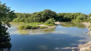   La playa de Yucatán con arena blanca rodeada de manglares  para visitar en Semana Santa  