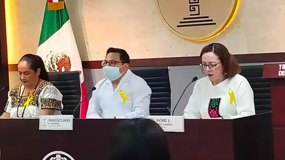 Las dos nuevas integrantes del TEEC no deben hacer juicios a priori y deben velar por la objetividad Las dos nuevas integrantes del TEEC no deben hacer juicios a priori y deben velar por la objetividad