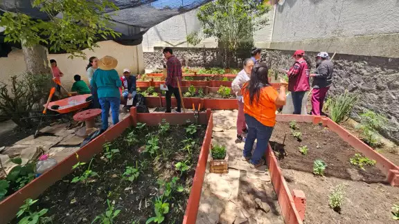 El la siembra y cultivo de alimentos sirve para que los niños aprendan a producir lo que consumen.