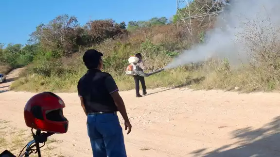 Tres grandes mangas afectaron al municipio del viernes al sábado, y se reproducen a gran velocidad