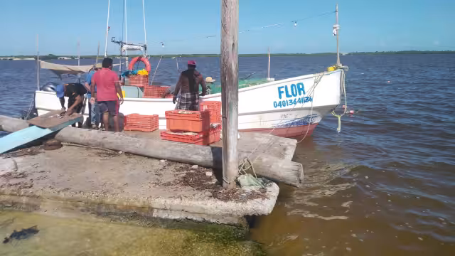 Llaman a cuidar los drenajes y ecosistemas costeros