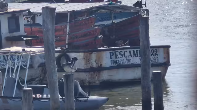 El pescador fue trasladado sin vida a bordo de la embarcación