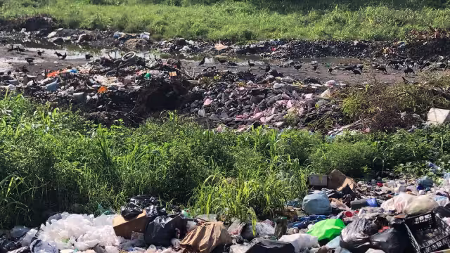 Las autoridades municipales no han hecho nada por remediar la situación.