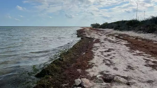 Chabihau ha sido afectado por la erosión y el aumento del nivel del mar