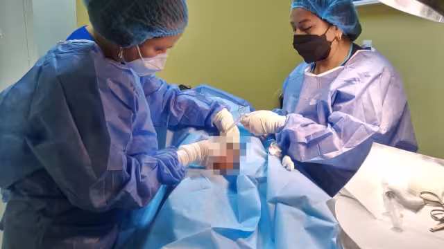 La objeción de consciencia no puede ser utilizada como una barrera para la interrupción del embarazo