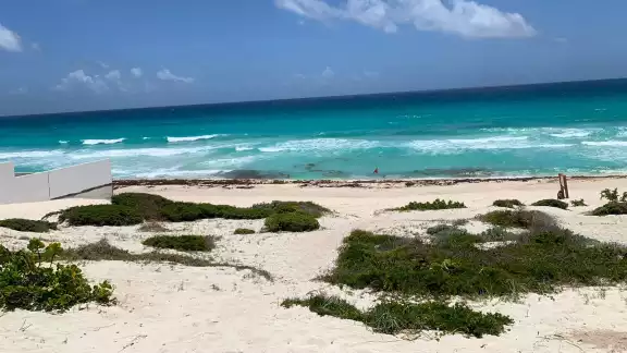El recale de sargazo en Cancún ha colocado a la ciudad en el color amarillo del Semaforo de arribo del alga de la Semar