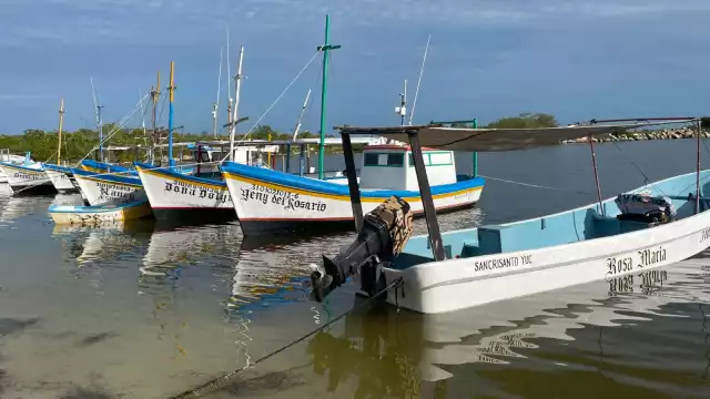 El Comité de seguimiento decreta bandera verde de Progreso hacia el Oriente