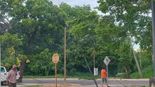 Tráiler derriba cables eléctricos en avenida Universidad de Chetumal