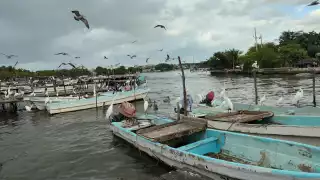Pescadores ribereños exigen soluciones reales ante desplome en producción