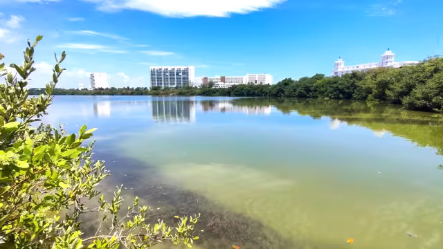 Detectan nueve focos rojos de contaminación en la laguna Bojórquez.
