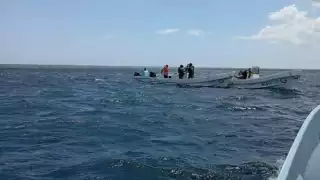 Autoridades atrapan a hombres de mar durante la captura ilegal de especies frente a San Felipe
