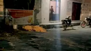 La FGE comenzó las investigaciones para dar con los responsables.