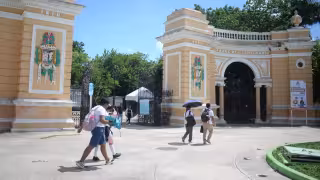Perros irrumpen en el Zoológico del Centenario de Mérida; mueren dos venados y cuatro borregos