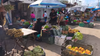 Limón se vuelve “oro verde” en Yucatán: precio se dispara en plena Cuaresma