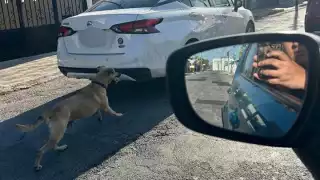 El hecho fue reportado al 911