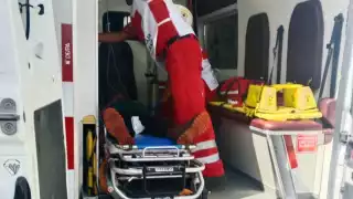 Ataque de abejas en ranchería de Champotón deja a un hombre al borde de la muerte