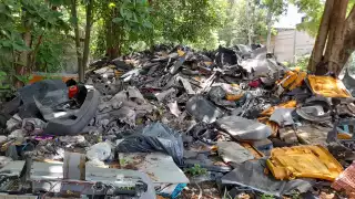 Basureros clandestinos proliferan en Cancún; advierten por focos de infección y dengue