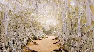 Santuario María Desatadora de Nudos: Un lugar donde los sueños se cumplen (VIDEO)