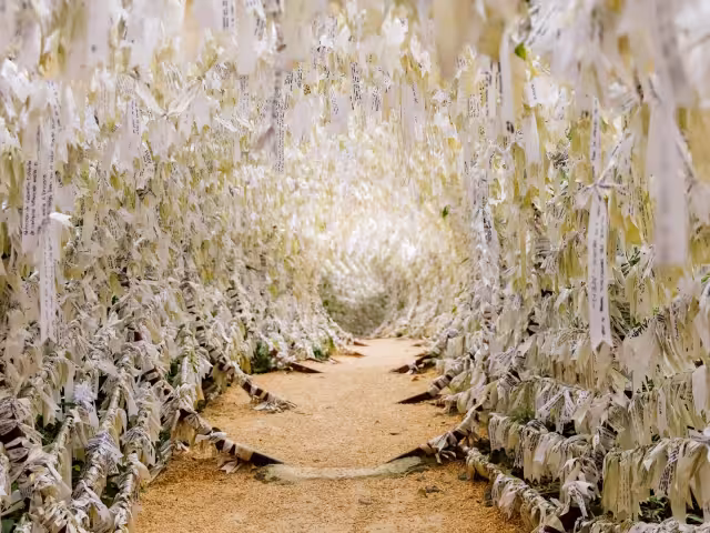 Santuario María Desatadora de Nudos: Un lugar donde los sueños se cumplen (VIDEO)