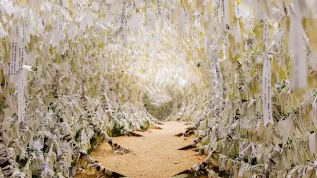 Santuario María Desatadora de Nudos: Un lugar donde los sueños se cumplen (VIDEO)