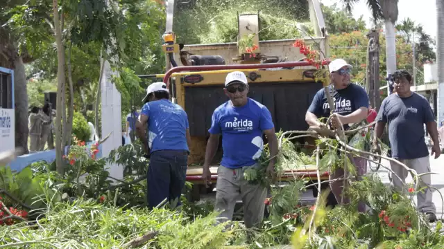 Los servicios serían suspendidos a partir de este jueves