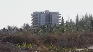 La Profepa acudirá a Sisal para evaluar daños en 23 mil ha de terreno.