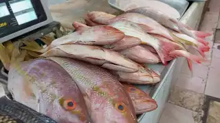 Sube el precio del pescado frito y ceviche en Progreso previo a la Semana Santa