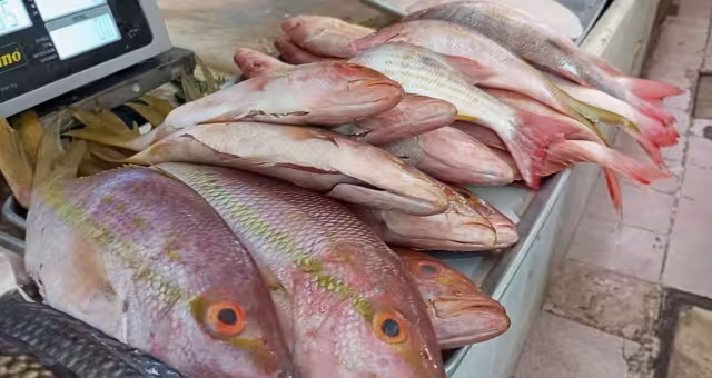 El kilogramo de mero grande se encuentra por arriba de los 300 pesos en algunos lugares