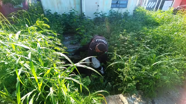 Los agentes policiacos municipales regresaron a tierra firme al animalito, el cual no tiene dueño ni hogar.