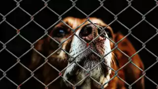 La marcha será pacífica e iniciará a las 5:00 pm