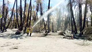CEMF   controló “El Porvenir”, el incendio  más fuerte de 2025 en Quintana Roo 