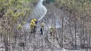 Bomberos controlan incendio de maleza en carretera Valladolid–Felipe Carrillo Puerto