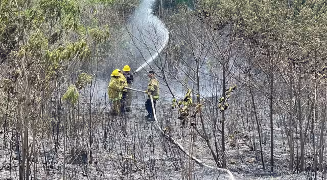 Bomberos evitan que fuego llegue a zona selvática en Yucatán