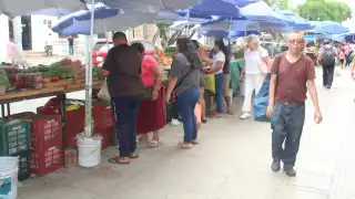 Vegano de Yucatán da consejos sobre cómo  seguir una dieta y un estilo de vida que excluyen  los productos de origen animal