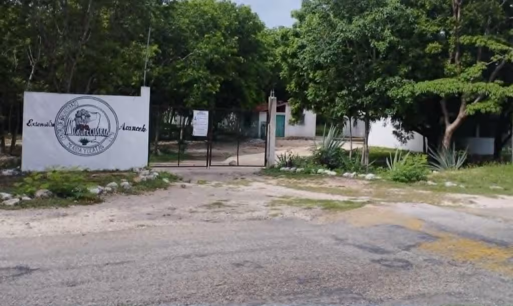 Confirman continuidad de los CBTA de Acanceh, Tixkokob y Tzucacab