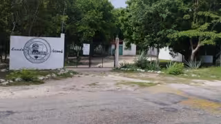 CBTAS de Acanceh, Tixkokob y Tzucacab no cerrarán; SEP confirma continuidad