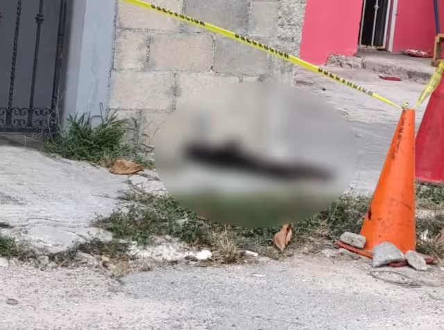 Hasta el momento se desconoce el número total de ejemplares fallecidos