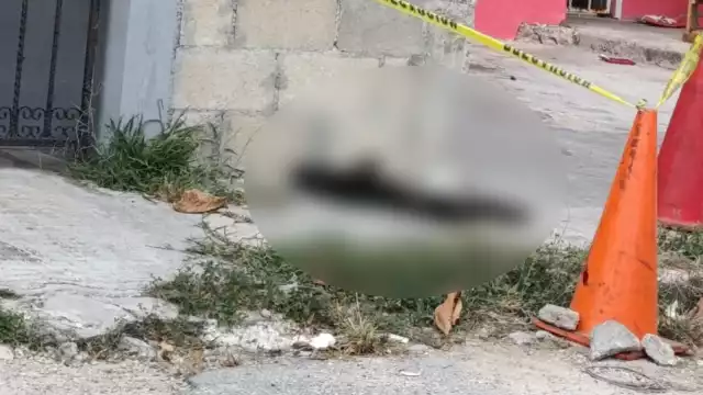 Hasta el momento se desconoce el número total de ejemplares fallecidos