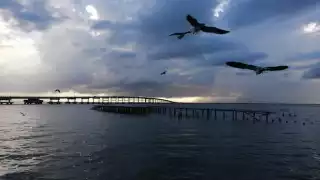 La Laguna de Términos, en Campeche, es la laguna más grande del estado