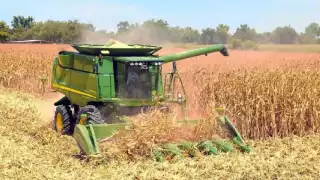 De acuerdo con los líderes del movimiento, las negociaciones con la industria y el Gobierno no lograron un acuerdo