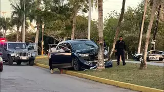 Una camioneta terminó perdiendo el control lo que ocasionó una colisión contra una palmera