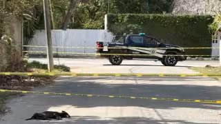 Se reporta el fallecimiento de más de 5 canes en la calle 66 con 53 por posible envenenamiento