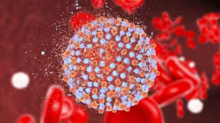 ¿Qué es la hepatitis, cuáles son los síntomas y de qué tipo se detectó en escuela de Tizimín, Yucatán?