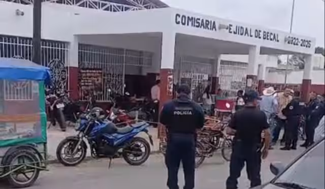 Detectan pelea de gallos ilegal en Bécal; ya hay investigación
