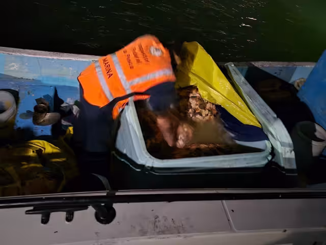 El producto en veda era trasladado en una lancha en Progreso